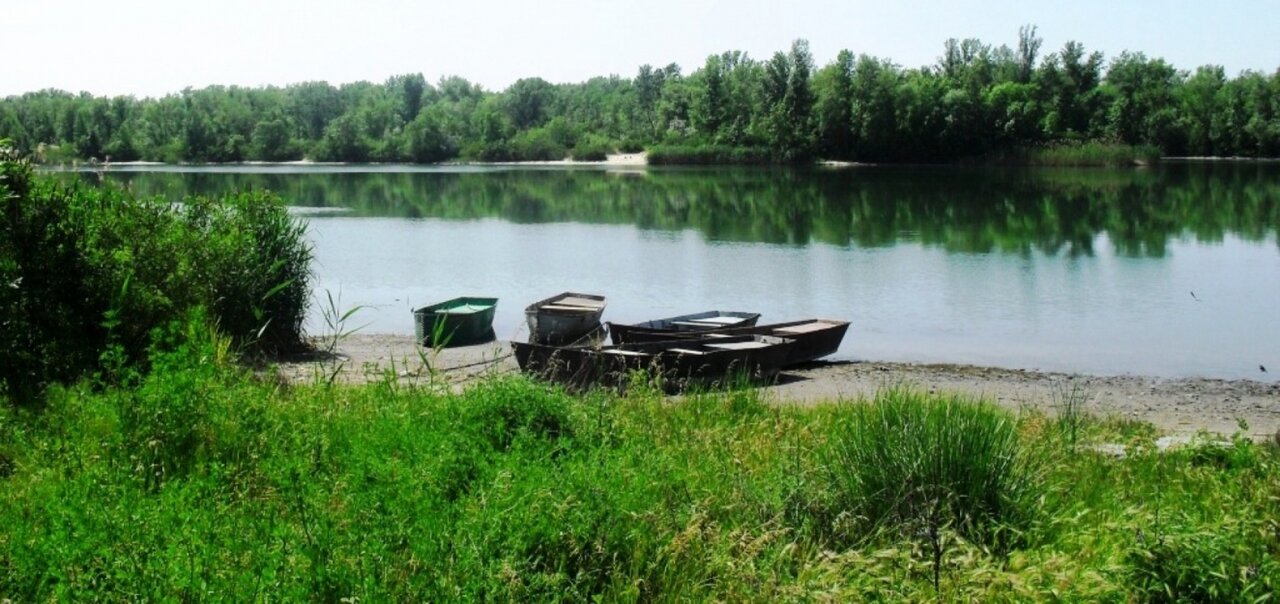 Гостиница Парамон Константиновск-18